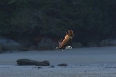 DSC_2578.jpeg