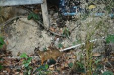 DSC_2923.jpeg