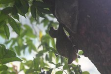 DSC_2674.jpeg