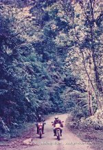 Nov95-LNT-MSing-_4.jpg