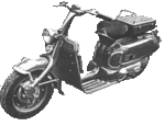MARUSHOLILACSCOOTER.gif