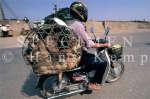bike_burden-dogs.jpg