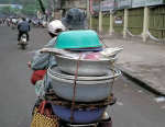 bike_burden-fish.jpg