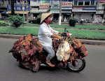 bike_burden-fowl.jpg