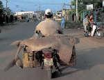 bike_burden-shark.jpg