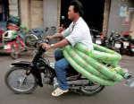 bike_burden-tube.jpg