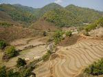 north-thailand-2009-13-thumb.jpg