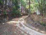 dirt5.jpg