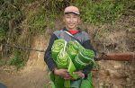 north-thailand-2009-45-thumb.jpg