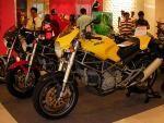 050309Ducs.jpg
