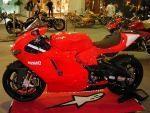 050309Duc.jpg