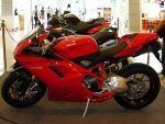 050309Duc1098.jpg