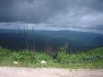 Dayone045.jpg