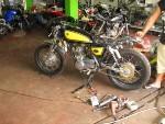 293884=17438-IMG_6648.jpg