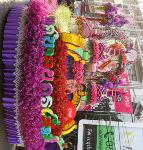 chiang-mai-flower-festival-34-small.jpg