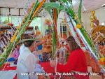 IMG_4833.jpg