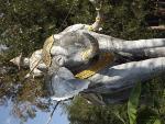 DSCF2953.jpg