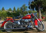 pula-bike-week-2015-harley-davidson-red.jpg