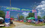 turtle-festival-thai-mueang-1dd.jpg