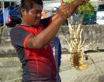 koh-yao-noi-lobster-1dd.jpg