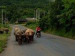 IMG_7635.jpg