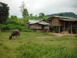 Motorcycle%20Laos%20Vietnam%20%2039.jpg
