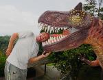 koh-samui-dino-05dd.jpg