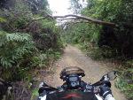 IMG-20160918-WA0036.jpg