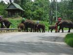 Chiang%20mai%20Pai%20Thailand%204.jpg