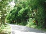 Chiang%20mai%20Pai%20Thailand%208.jpg