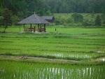 Chiang%20mai%20Pai%20Thailand%2022.jpg